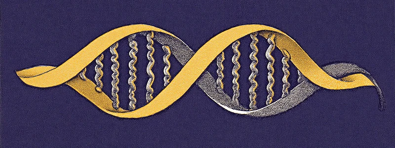 personal-dna-generator cover